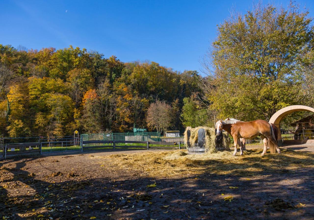 Hotel & Ferienwohnungen Bohlenblick Saalfeld Saale Zewnętrze zdjęcie