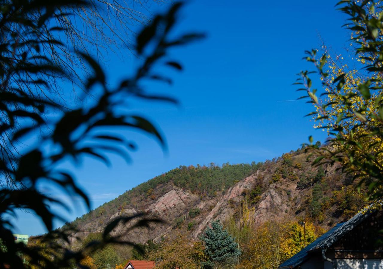 Hotel & Ferienwohnungen Bohlenblick Saalfeld Saale Zewnętrze zdjęcie